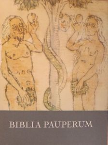 Soltész Zoltánné - Biblia Pauperum [antikvár]