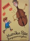 R. Chitz Klára - Muzsikus Péter Hangszerországban [antikvár]