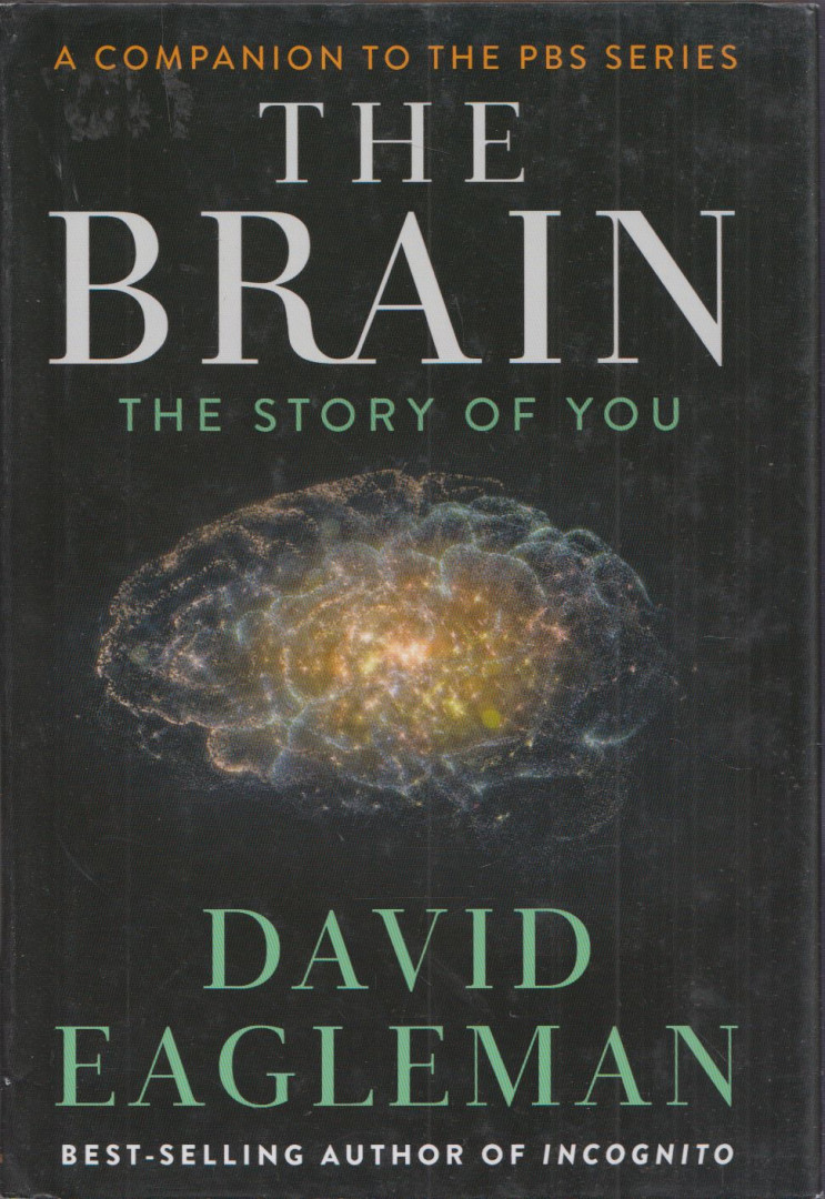 David Eagleman - The Brain: The Story of You [antikvár]