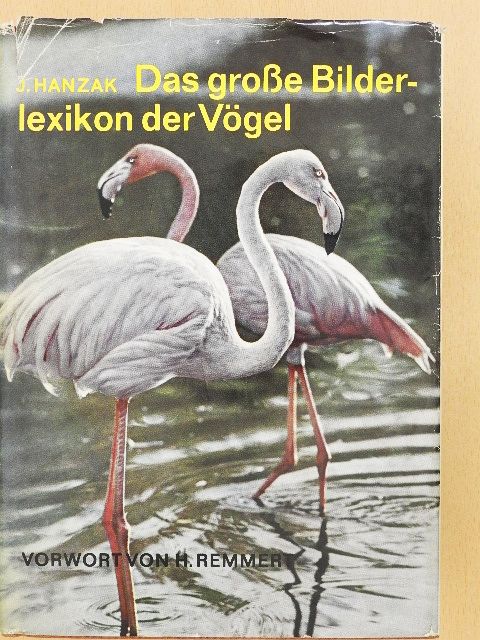 J. Hanzak - Das grosse Bilderlexikon der Vögel [antikvár]