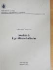 Rudas Imre - Analízis I. [antikvár]