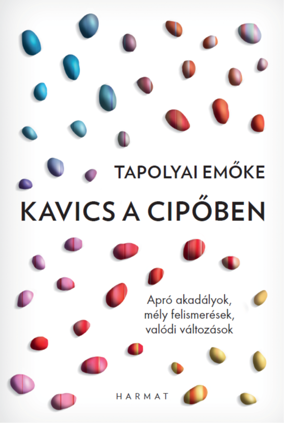 Tapolyai Emőke - Kavics a cipőben [eKönyv: epub, mobi]