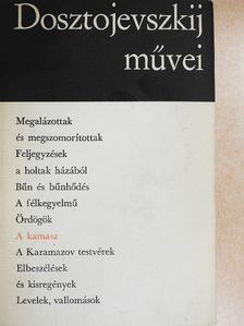 Fjodor Mihajlovics Dosztojevszkij - A kamasz [antikvár]
