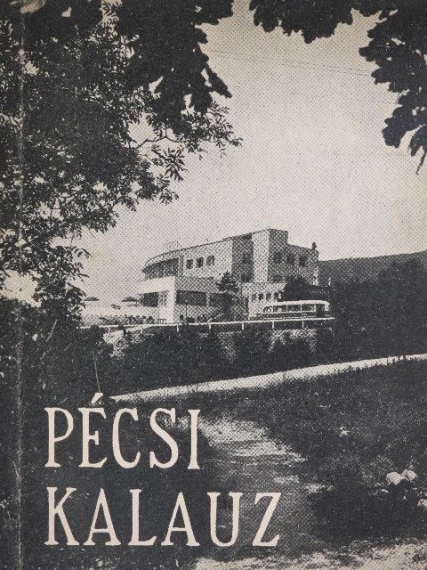 Kolta János - Pécsi kalauz [antikvár]