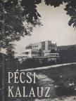 Kolta János - Pécsi kalauz [antikvár]