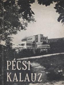 Kolta János - Pécsi kalauz [antikvár]