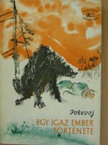 Borisz Polevoj - Egy igaz ember története [antikvár]