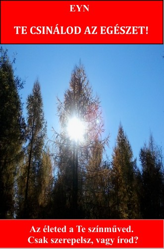 Eyn - Te csinálod az egészet! - Az életed a Te színműved. Csak szerepelsz, vagy írod? [eKönyv: epub, mobi]