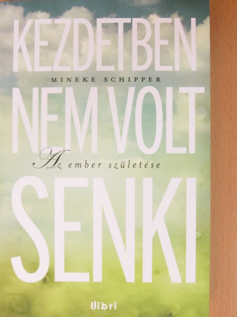 Mineke Schipper - Kezdetben nem volt senki [antikvár]