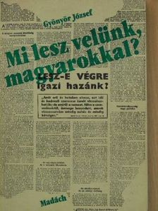 Gyönyör József - Mi lesz velünk, magyarokkal? [antikvár]