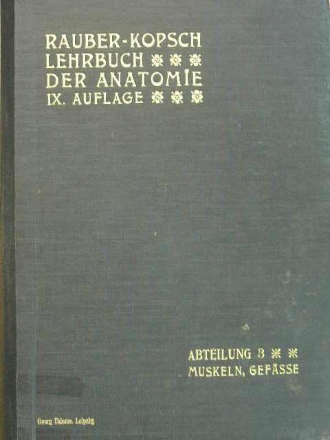 Prof. Fr. Kopsch - Rauber's Lehrbuch der Anatomie des Menschen Abteilung 3. (töredék) [antikvár]