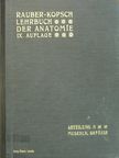 Prof. Fr. Kopsch - Rauber's Lehrbuch der Anatomie des Menschen Abteilung 3. (töredék) [antikvár]