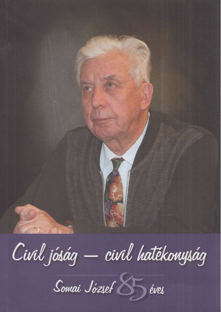 Bodó Barna - Civil jóság - civil hatékonyság [antikvár]
