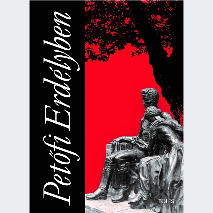 Dávid Gyula, Mikó Imre - Petőfi Erdélyben