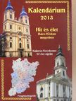Hit és élet Bács-Kiskun megyében 2013. [antikvár]