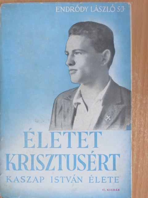 Endrődy László S. J. - Életet Krisztusért [antikvár]