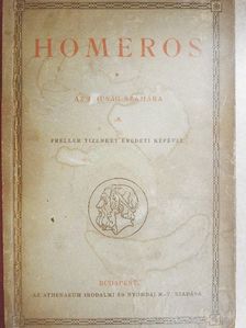 Homéros - Homéros: Ilias/Odysseia [antikvár]