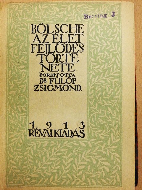 Bölsche - Az élet fejlődéstörténete [antikvár]