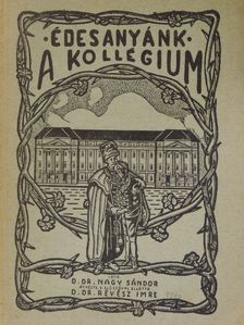 D. Dr. Nagy Sándor - Édesanyánk, a kollégium [antikvár]