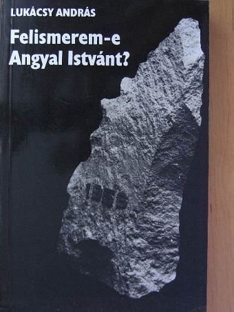 Lukácsy András - Felismerem-e Angyal Istvánt? [antikvár]