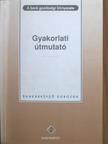 Ana Terras - A bank gazdasági környezete - Gyakorlati útmutató [antikvár]