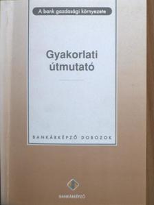 Ana Terras - A bank gazdasági környezete - Gyakorlati útmutató [antikvár]