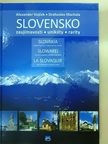 Alexander Vojcek - Slovensko/Slovakia/Slowakei/La Slovaquie [antikvár]