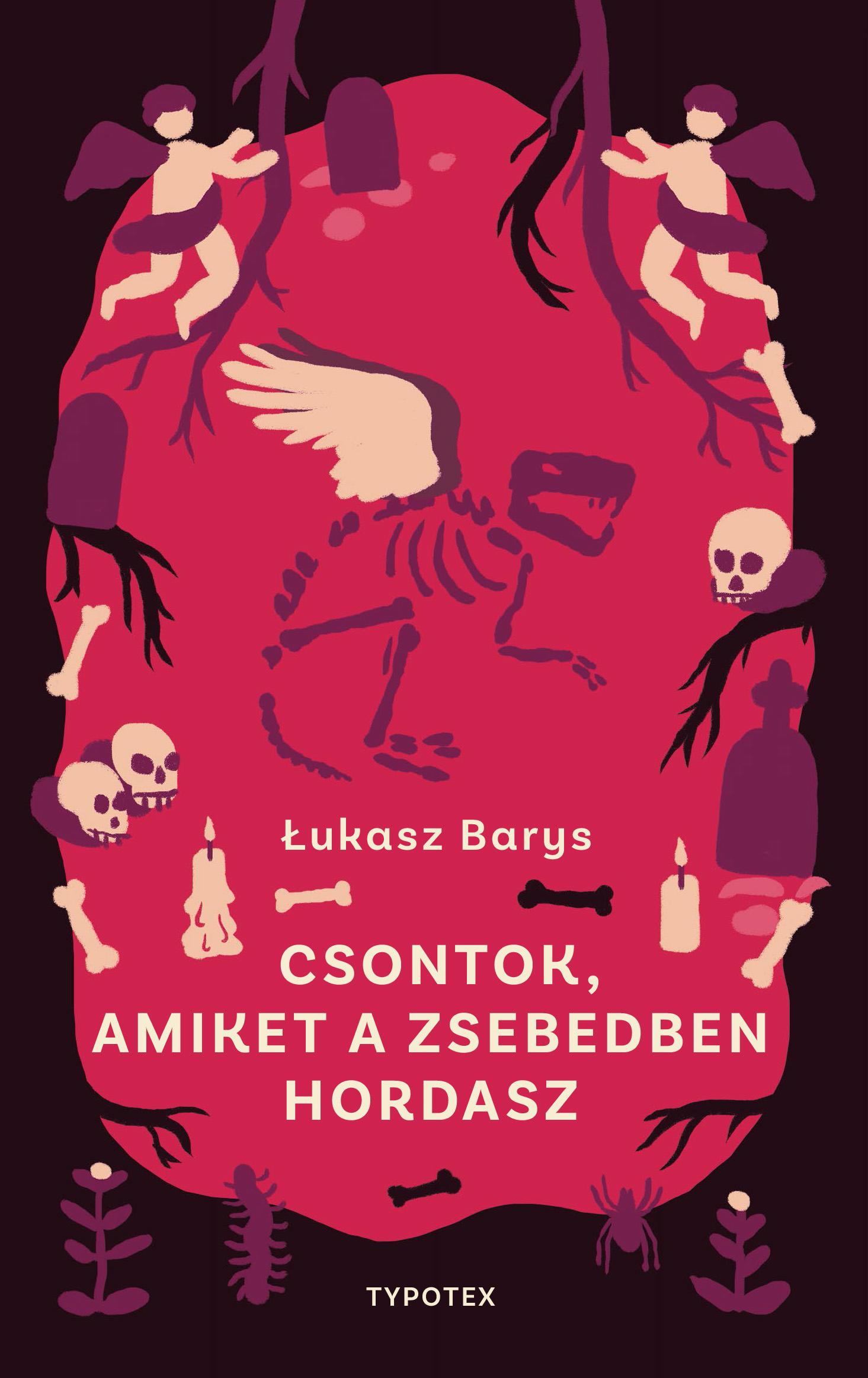 £ukasz Barys - Csontok, amiket a zsebedben hordasz