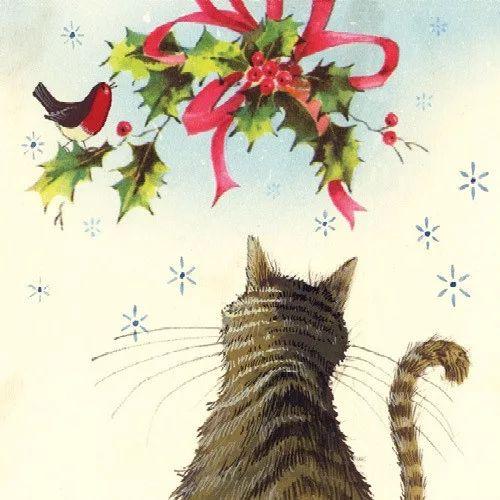 P0080-0491 - Képeslap borítékkal, Alex Clark, 12x12 cm, karácsonyi cicás