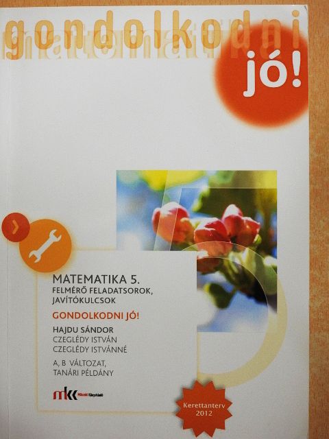 Czeglédy István - Matematika 5. Felmérő feladatsorok, javítókulcsok [antikvár]