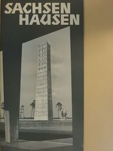 Martin Schwantes - Sachsenhausen [antikvár]