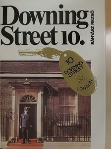 Bányász Rezső - Downing Street 10. [antikvár]