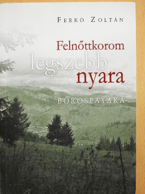 Ferkó Zoltán - Felnőttkorom legszebb nyara [antikvár]