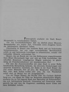 Mihai Murgu - Brasov [antikvár]