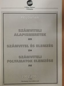 Dr. Nagy Bálintné - Számviteli alapismeretek/Számvitel és elemzés/Számviteli folyamatok elemzése [antikvár]