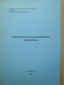 Ágoston György - Tehetségnevelés Magyarországon [antikvár]