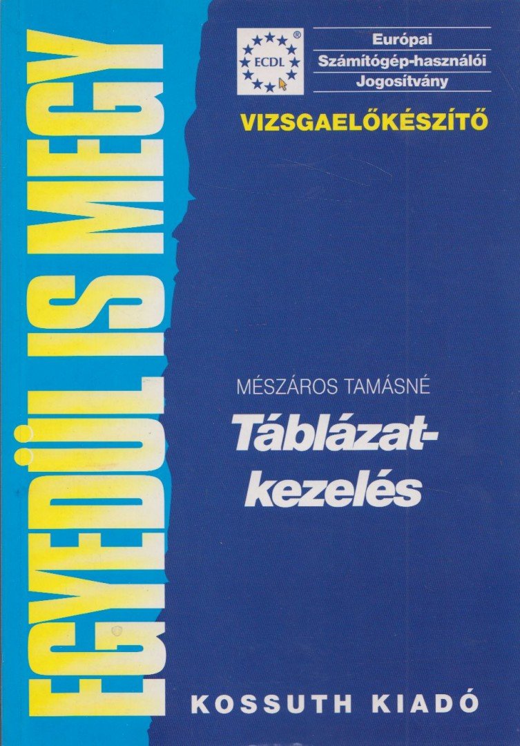 Mészáros Tamásné - Táblázatkezelés [antikvár]
