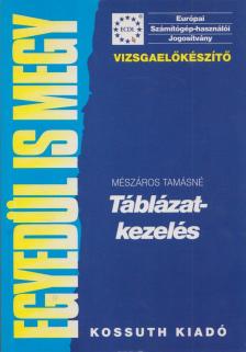 Mészáros Tamásné - Táblázatkezelés [antikvár]
