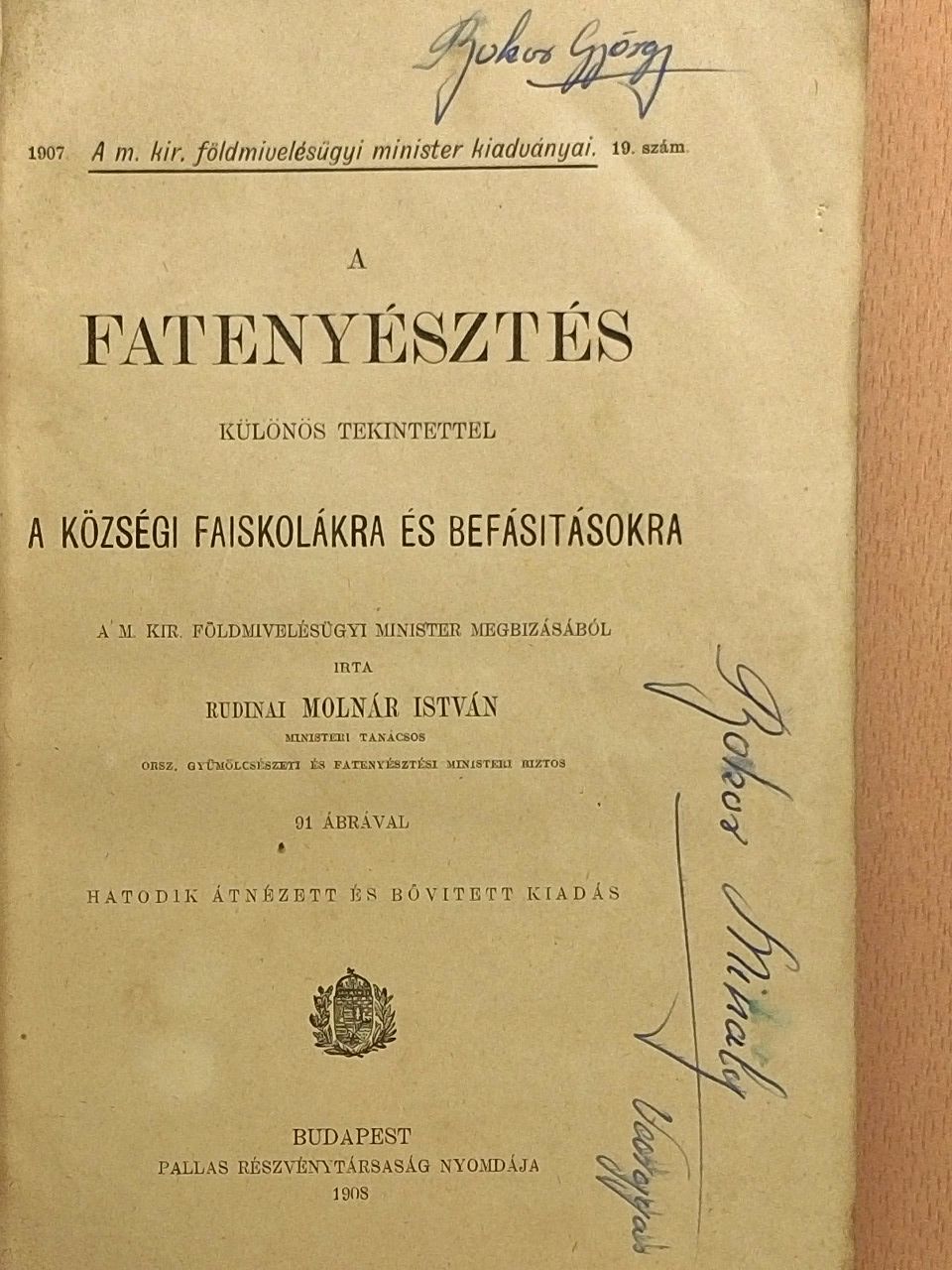 Rudinai Molnár István - A fatenyésztés [antikvár]