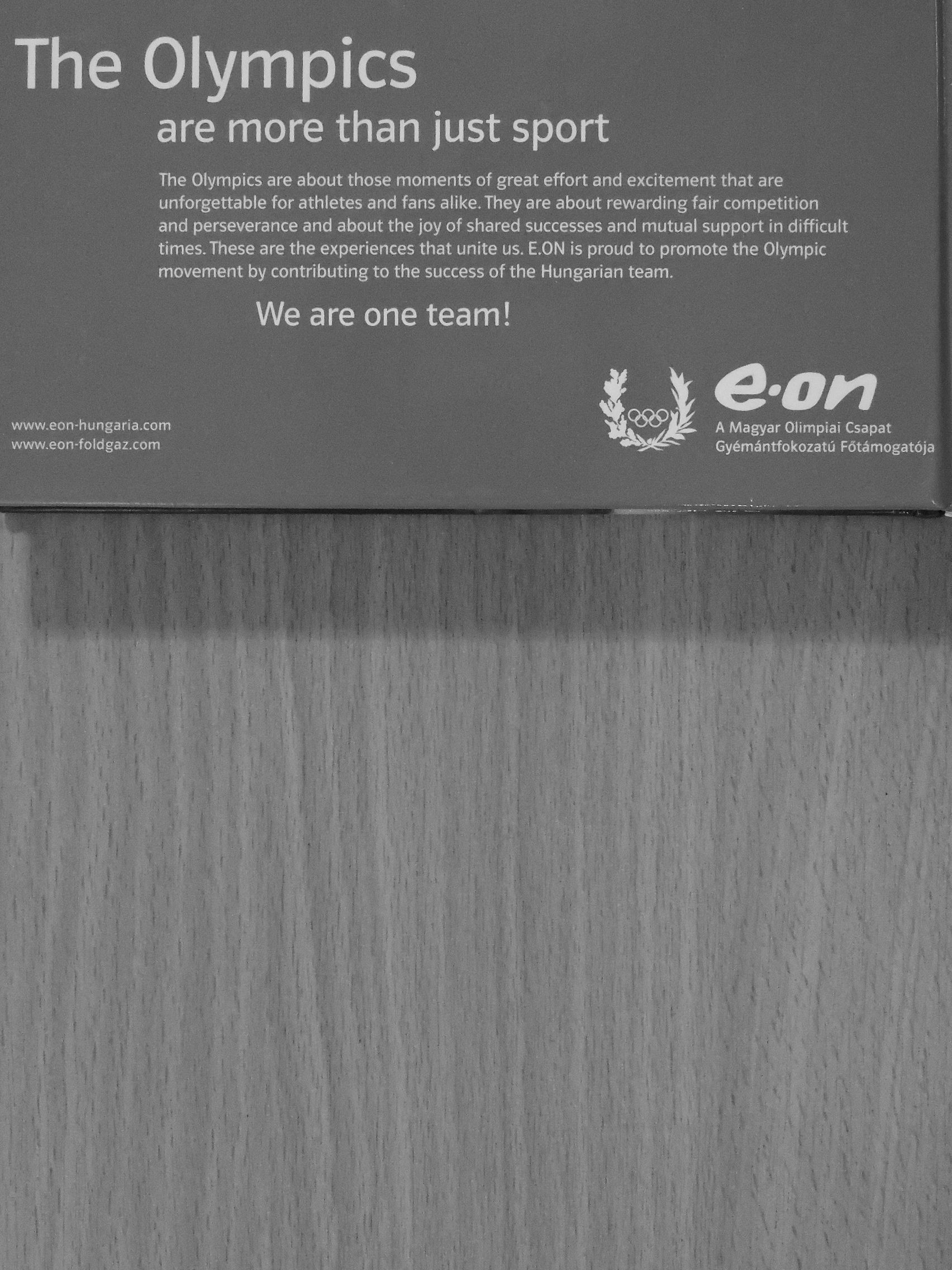 The Hungarian Olympic Team - Beijing 2008 [antikvár]