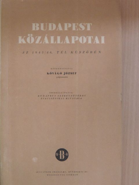 Kővágó József - Budapest közállapotai [antikvár]