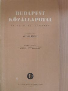 Kővágó József - Budapest közállapotai [antikvár]
