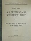 Banner János - A kökénydombi neolithkori telep [antikvár]