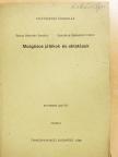 Becsy Bertalan Sarolta - Mozgásos játékok és oktatásuk [antikvár]