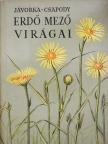 Jávorka Sándor - Erdő mező virágai [antikvár]