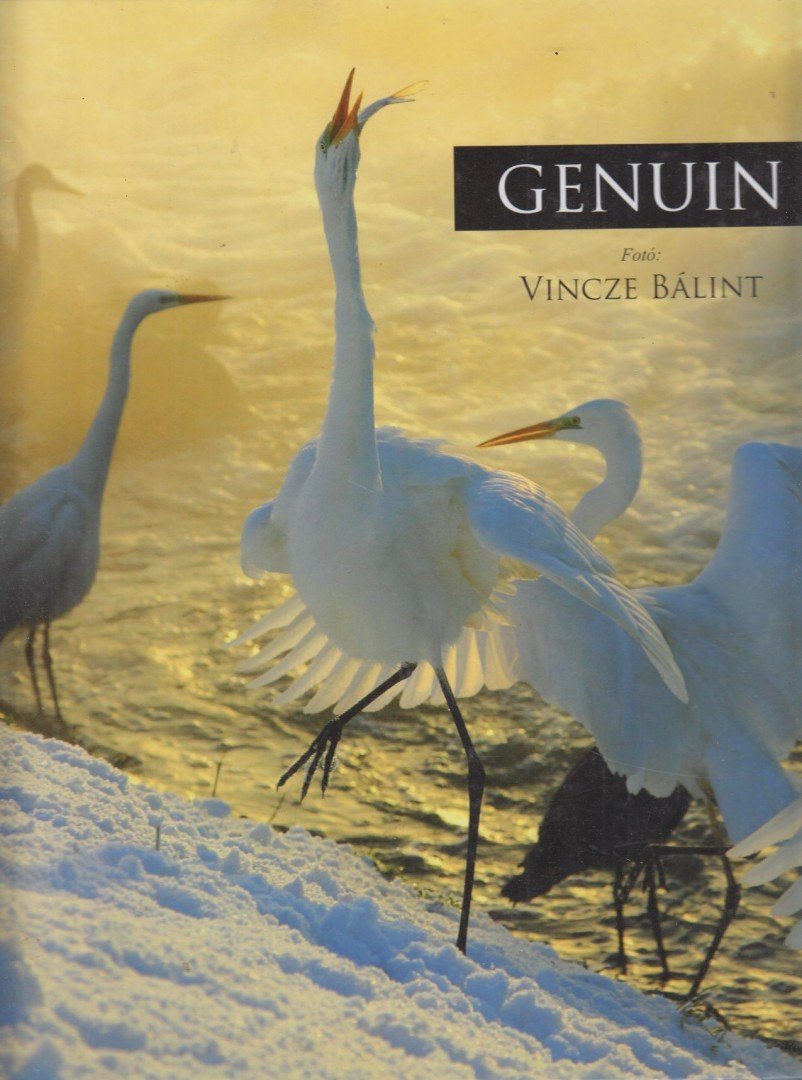 Vincze Bálint - Genuin [antikvár]