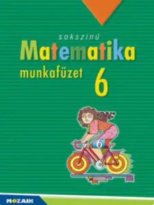 MS - 2316 - Sokszínű matematika munkafüzet 6.