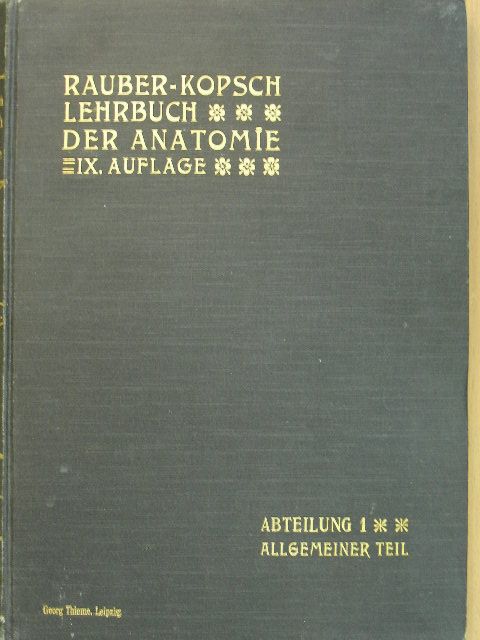 Prof. Fr. Kopsch - Rauber's Lehrbuch der Anatomie des Menschen Abteilung 1. (töredék) [antikvár]