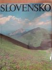 Vladimír Ferko - Slovensko [antikvár]