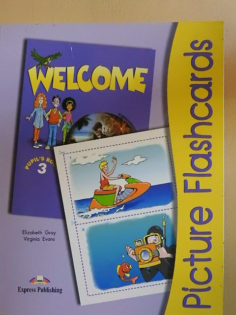 Elizabeth Gray - Welcome 3. - Picture Flashcards [antikvár]